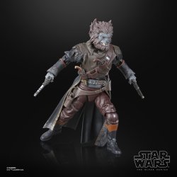 STAR WARS THE BLACK SERIES PIRATE CAPTAIN BRUTUS (PORT BORGO) 3.jpg