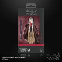 Star Wars The Black Series Shaak Ti - Package.jpg