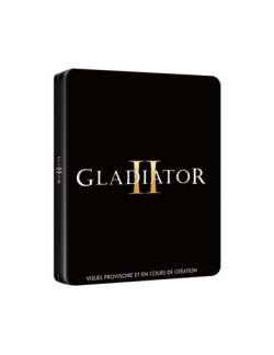 Gladiator-II-Edition-Limitee-Steelbook-Blu-ray-4K-Ultra-HD[1].jpg