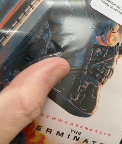 IMG_4129.jpeg