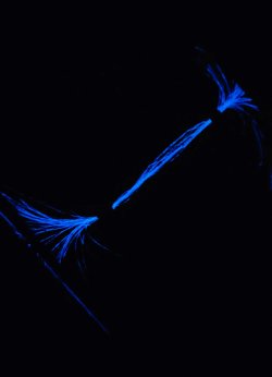 54177235134_1034b15f3b_o.jpg