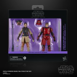 STAR WARS THE BLACK SERIES LUKE SKYWALKER (IMPERIAL GUARD) & PRINCESS LEIA ORGANA (BOUSHH) - P...jpg