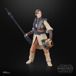 STAR WARS THE BLACK SERIES LUKE SKYWALKER (IMPERIAL GUARD) & PRINCESS LEIA ORGANA (BOUSHH) 5.jpg