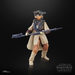 STAR WARS THE BLACK SERIES LUKE SKYWALKER (IMPERIAL GUARD) & PRINCESS LEIA ORGANA (BOUSHH) 10.jpg