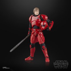 STAR WARS THE BLACK SERIES LUKE SKYWALKER (IMPERIAL GUARD) & PRINCESS LEIA ORGANA (BOUSHH) 11.jpg