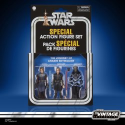 STAR WARS THE VINTAGE COLLECTION ANAKIN SKYWALKER 3-PACK 1 - Package.jpg