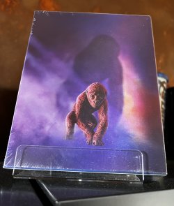 IMG_4033.jpeg