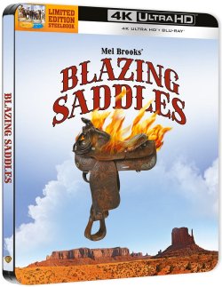 Blazing Saddles.jpg