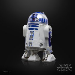 STAR WARS THE BLACK SERIES R2-D2 2.jpg