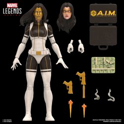 MARVEL LEGENDS SERIES MADAME MASQUE AND CROSSBONES 2.jpg