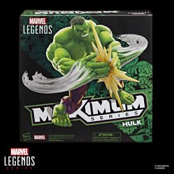 MARVEL LEGENDS MAXIMUM SERIES HULK - Package 2.jpg