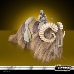 STAR WARS THE VINTAGE COLLECTION BANTHA & TUSKEN RAIDER 2-PACK 17.jpg