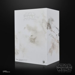 STAR WARS THE BLACK SERIES THE RONIN & R5-D56 - Package 8.jpg