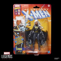 MARVEL LEGENDS SERIES STORM - Package 1.jpg