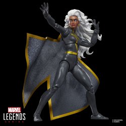 MARVEL LEGENDS SERIES STORM 1.jpg