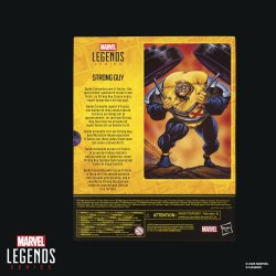 MARVEL LEGENDS SERIES X-FACTOR STRONG GUY - Package 3.jpg