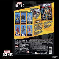 MARVEL LEGENDS SERIES MARVEL'S BEAST - Package 3.jpg