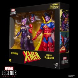 MARVEL LEGENDS SERIES X-MEN DEATHBIRD & MARVEL’S GLADIATOR  - Package.jpg