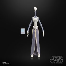 STAR WARS THE BLACK SERIES TAUN WE 3.jpg