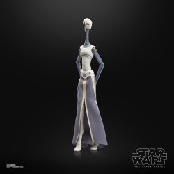 STAR WARS THE BLACK SERIES TAUN WE 12.jpg