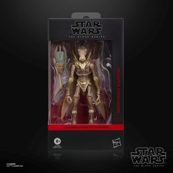 STAR WARS THE BLACK SERIES GEONOSIAN WARRIOR 1.jpg