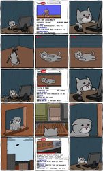 Cats.jpg