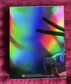 IMG_0464.jpeg
