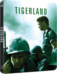 tiger.jpg