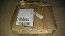 IMAG3505.jpg