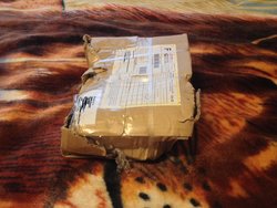 TP Box 1.jpg