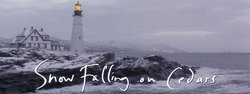 snow-falling-on-cedars_banner.jpg