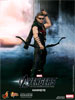 hawkeye_small.jpg