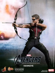 hawkeye3.jpg