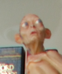 Capture.PNG