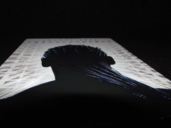 dscf2366kzjaw.jpg dscf2366kzjaw.jpg