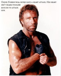 chuck-norris-facts.jpg chuck-norris-facts.jpg