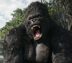 KONG-05.jpg
