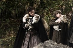GAME-OF-THRONES-HBO-3-550x365[1].jpg