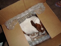 In a Box!.JPG