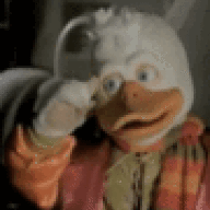 duckandrun