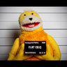 flateric