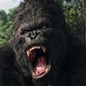 KingKongCygor