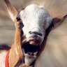 Escapegoat07