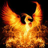 rtphoenix