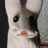 bunnymonkey