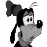 Goofy79