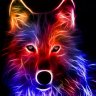 Scooby_jay