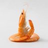 sourshrimp