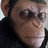 megadona
