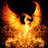 rtphoenix